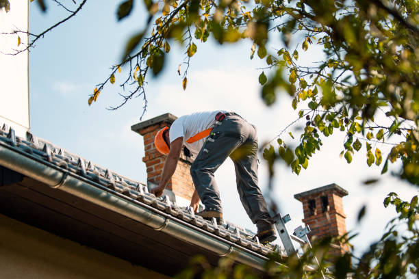 Roof Gutter Cleaning in Mebane, NC