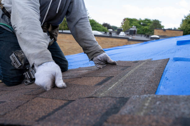 Best Shingle Roofing Installation  in Mebane, NC