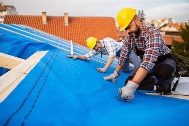 Best Emergency Roof Repair  in Mebane, NC
